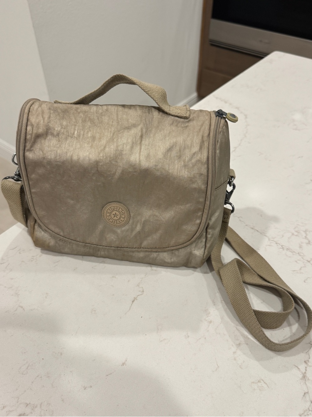 Kipling New Kichirou Metallic Lunch Bag